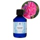 Trandafir de Damasc Organic
